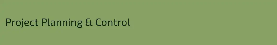 Project Planning & Control